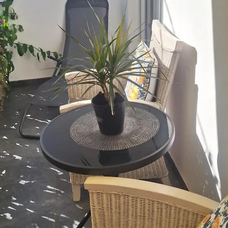 Mediteranea 1 *