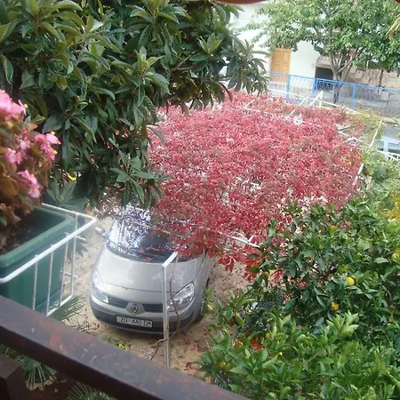 Mediteranea 1 Lägenhet Zadar