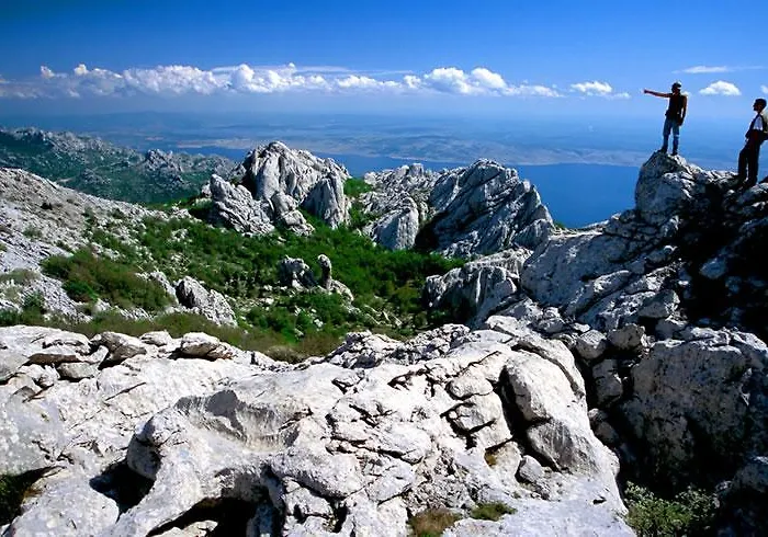 Mediteranea 1 Daire *